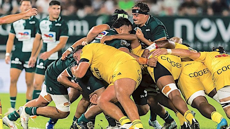 RUGBY PRO – Carton plein : Pau, Bayonne, Biarritz et Dax se font plaisir